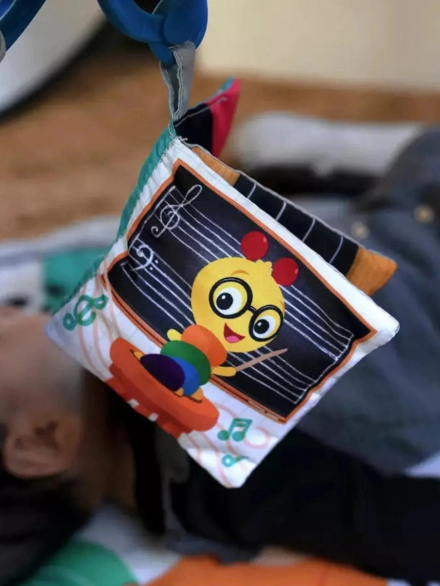 Baby Einstein Music & Language Discovery Gym
