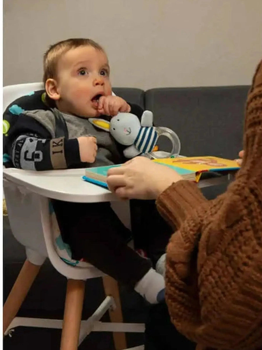 Nania Paulette Baby Highchair 101 Dalmatians Nania Mama's Joy