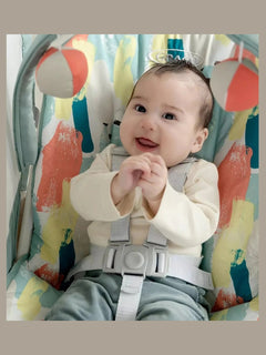 Graco Baby Delight Swing – Parade Graco Mama's Joy