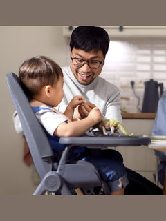 Maxi-Cosi Ava Baby Highchair with 3 Recline Positions Ultra-Compact Fold Light Maxi-Cosi Mama's Joy